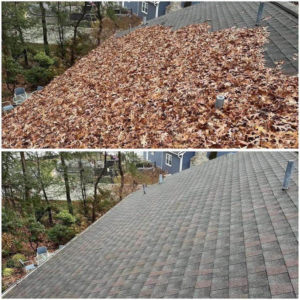 SECOND SMALL PHOTO (2) (